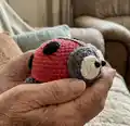 Ladybug Amigurumi Pattern step 3 - details and accessories