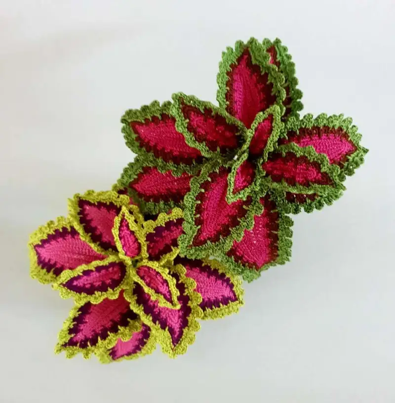 Quality crochet pattern: Watermelon Coleus Pattern - Intermediate level guide with complete instructions