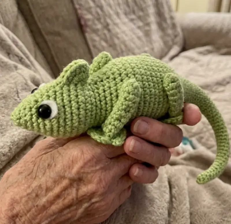 Complimentary Intermediate crochet pattern: Clyde the Chameleon Amigurumi Pattern - Simple to follow guide