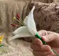 Lily Crochet Pattern step 3 - details and accessories