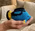 Blue Tang Fish Amigurumi Pattern step 4 - final assembly and finishing