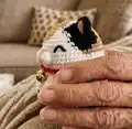 Calico Cat Amigurumi Pattern step 3 - details and accessories