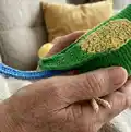 Budgerigar Amigurumi Pattern step 2 - assembly progress