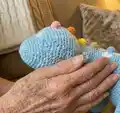 Cuddly Nessie Monster Amigurumi Pattern step 3 - details and accessories