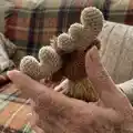 Ostin the Reindeer Amigurumi Pattern step 3 - details and accessories