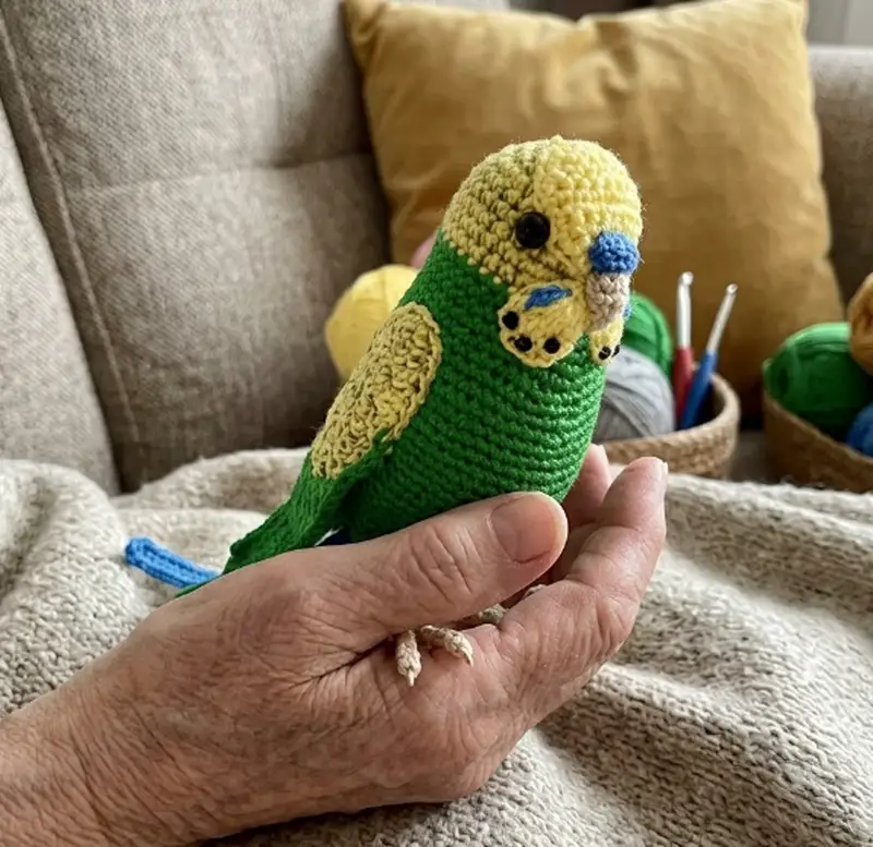 Complimentary Intermediate crochet pattern: Budgerigar Amigurumi Pattern - Simple to follow guide