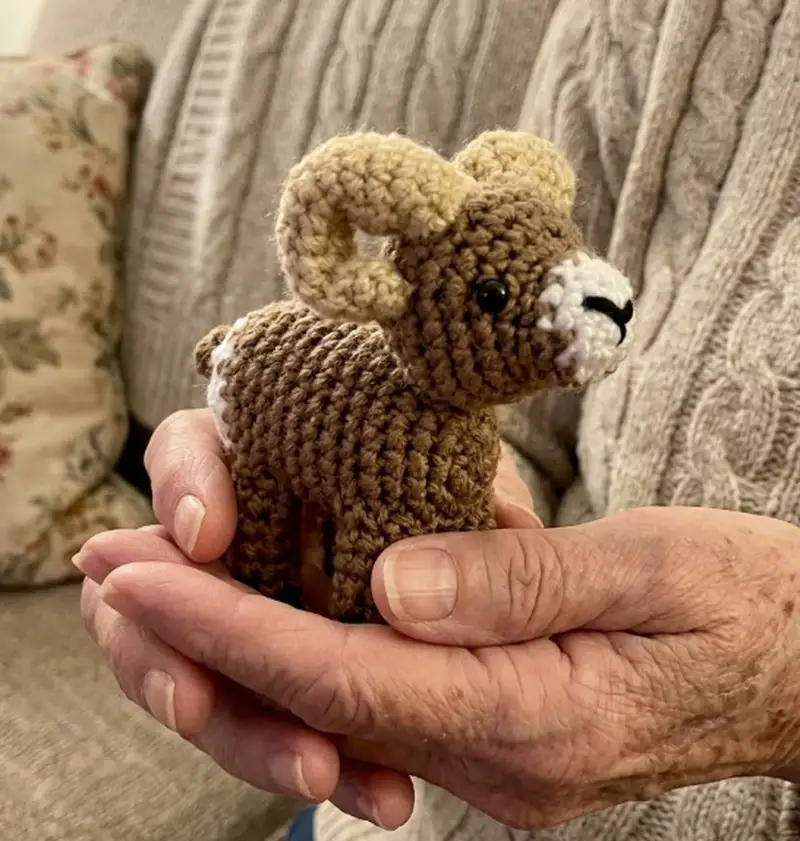 Complimentary Intermediate crochet pattern: Bobby the Bighorn Sheep Amigurumi Pattern - Simple to follow guide