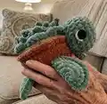 Succulent Turtle Amigurumi Pattern step 4 - final assembly and finishing