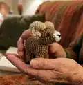 Bobby the Bighorn Sheep Amigurumi Pattern step 4 - final assembly and finishing