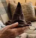 Sorting Hat Pattern step 1 - construction progress