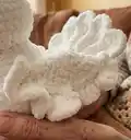 Dove Amigurumi Pattern step 3 - details and accessories