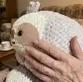 Giant Sloth Amigurumi Pattern step 3 - details and accessories
