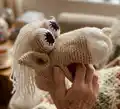 Horse Hand Puppet Amigurumi Pattern step 2 - assembly progress