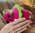 Dragonfruiteratops Amigurumi Pattern step 3 - details and accessories