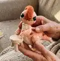 Parasaurolophus Ginny Amigurumi Pattern step 1 - construction progress