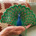 Peacock Amigurumi Pattern step 4 - final assembly and finishing