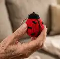 Ladybug Keychains Pattern step 3 - details and accessories